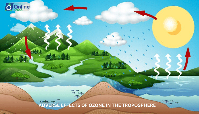 Lesson 06: Adverse Effects of Ozone in the Troposphere